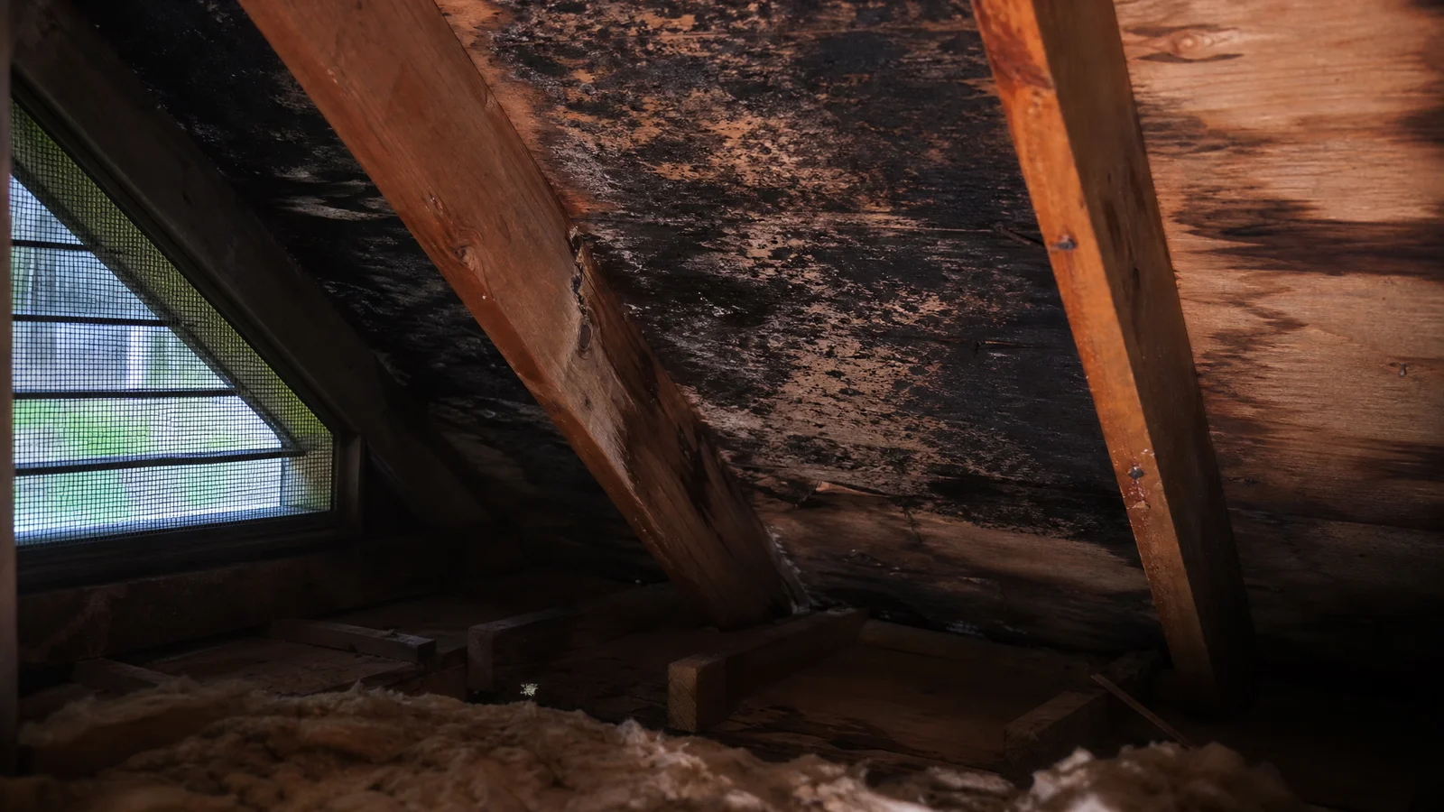 Mold spreading across attic sheathing from restricted ventilation
