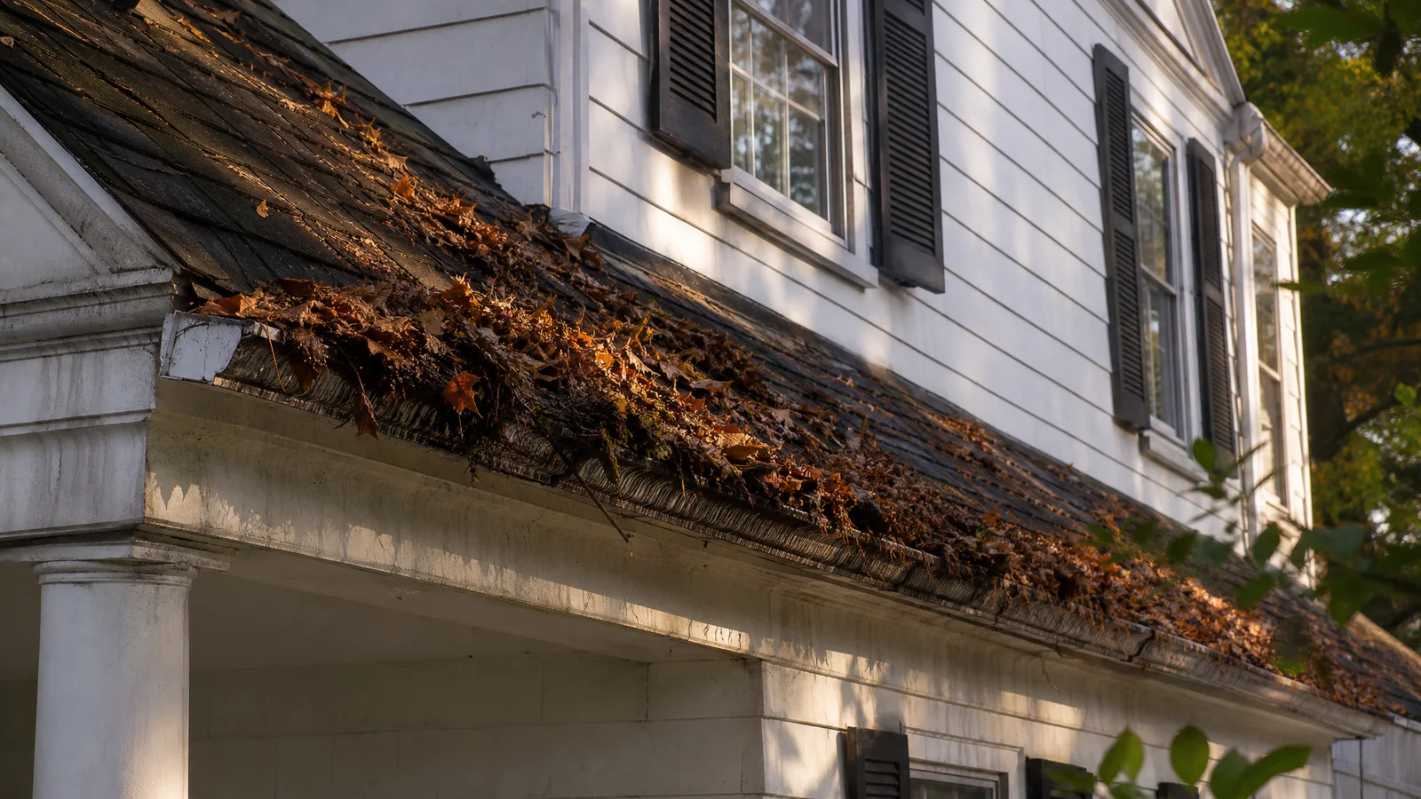 Gutter & Roof Drainage Repair
