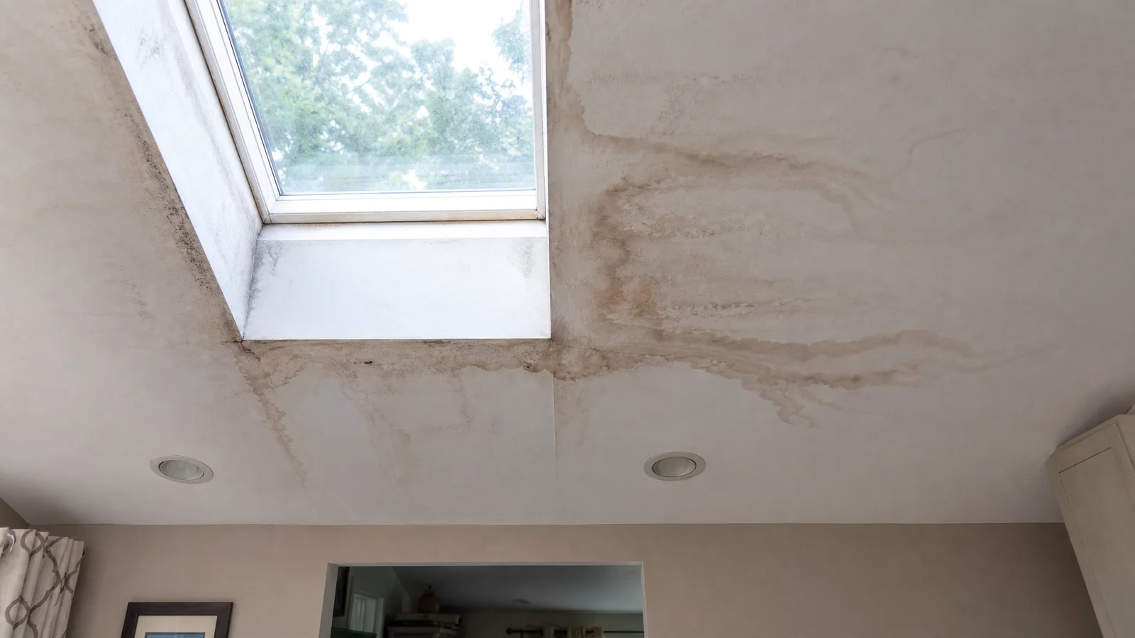 Water stains around a skylight on an interior ceiling